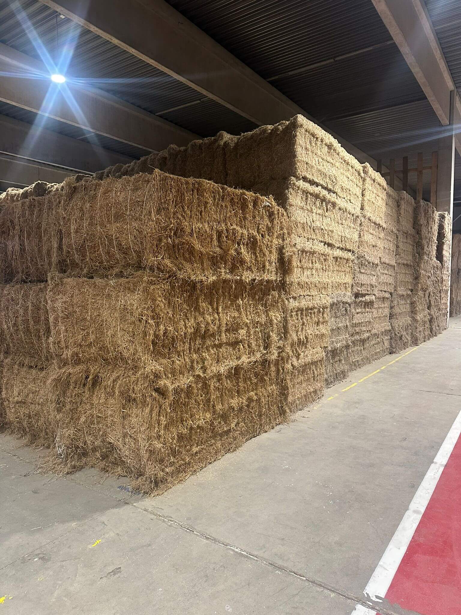 Ungeöffnete Hanfballen vor dem Start der Faserverarbeitung